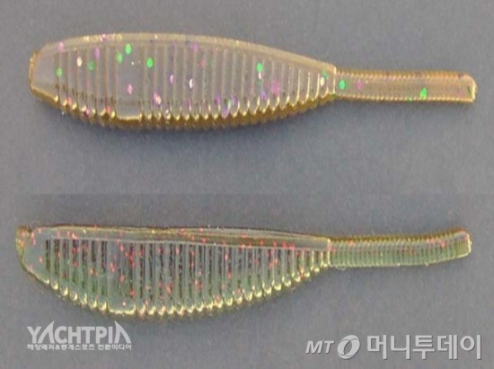 새드웜./사진제공=요트피아