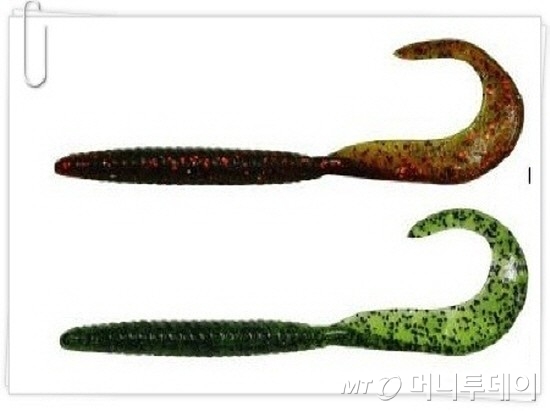 리치테일웜/사진제공=요트피아