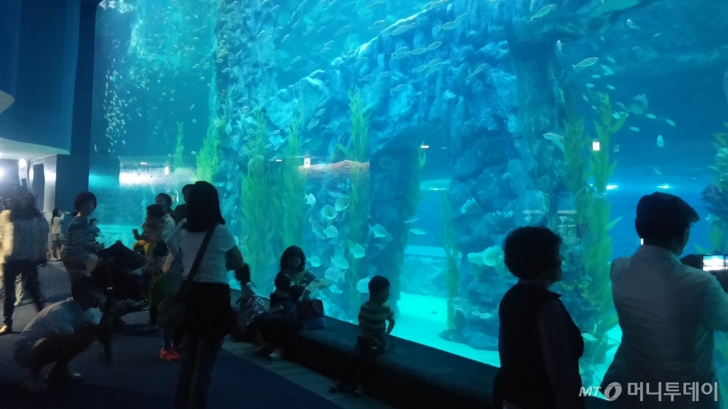 9일 인터넷 예약고객을 대상으로 무료개방한 롯데월드몰 아쿠아리움을 찾은 고객들이 메인수조에서 사진을 찍고 있다. / 사진=민동훈 기자