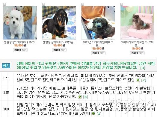 강아지 대여 업체가 운영하는 홈페이지 화면/ 사진=해당 업체 홈페이지 캡처