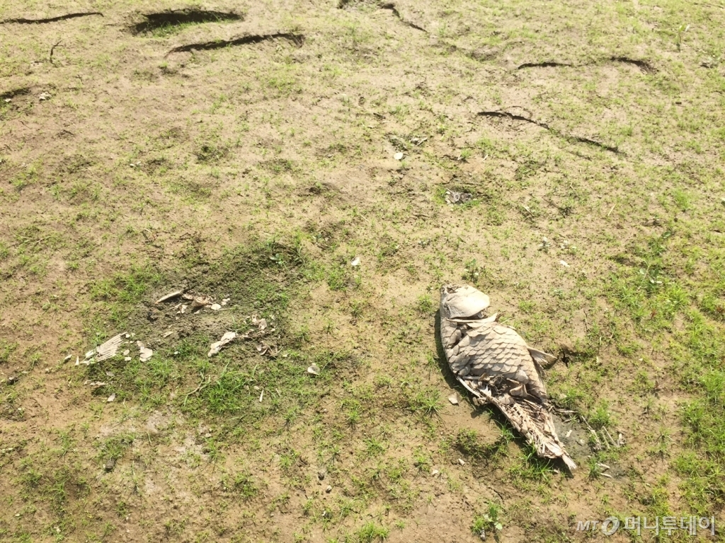 지난 15일 바닥을 다 드러낸 채 말라붙어 있는 인천 강화군 내가면 고천리 고려저수지/ 사진=이재원 기자