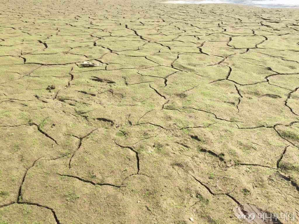 지난 15일 바닥을 다 드러낸 채 말라붙어 있는 인천 강화군 내가면 고천리 고려저수지/ 사진=이재원 기자