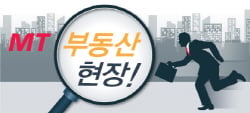 @머니투데이 최헌정 디자이너.