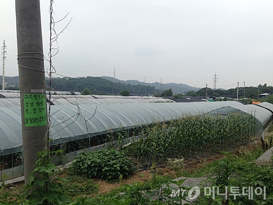 경기 광명 가학동에 비닐하우스촌이 조성돼 있다. 이곳에 설치된 전봇대에 '개발제한구역(그린벨트) 토지 상담 환영'이라는 내용의 전단이 붙어있다. /신현우 기자