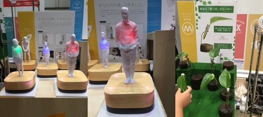 (왼쪽부터)3D 프린터로 전신을 측정해 소형 아바타를 만들고 감성과 신체 상태를 알려주는 시스템, 시험관에 있는 식물의 잎을 만지면 미세전류가 물을 통해 독특한 음을 생성하는 시스템/사진=차두원 KISTEP 실장