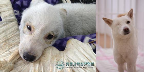 사진=뉴스1제공