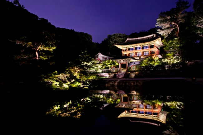 '창덕궁 달빛기행'이 진행되는 창덕궁 비원의 모습. /사진제공=한국문화재재단