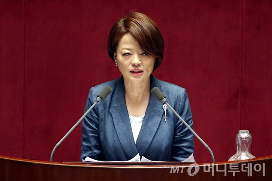 진선미 새정치민주연합 의원/ 사진= 뉴스1