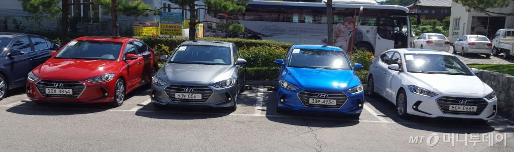 다양한 색깔의 신형 아반떼가 시승을 위해 대기하고 있다. /사진=양영권 기자