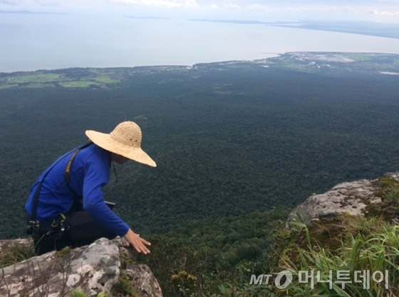 / 그래픽=유정수 디자이너