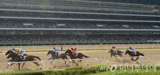 지난 6월 21일 오후 경기도 과천시 렛츠런파크를 가득 메운 관중들이 경주를 관전하고 있다.   중동호흡기증후군(메르스)의 여파로 관광지를 찾는 발길이 줄어들고 있지만 경마장에 메르스 걱정은 없었다./사진=뉴스1