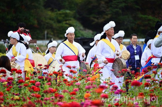 3일 강원 평창군 평창읍 백일홍 꽃밭 일원에서 열린 HAPPY700 평창페스티벌에서 농악 공연이 펼쳐지고 있다. /사진제공=평창군