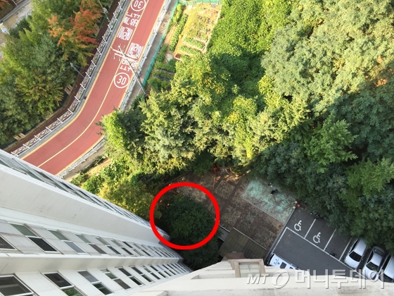 아파트 단지 내 화단에서 고양이집을 만들던 50대 여성이 초등학교 학생들이 떨어뜨린 벽돌에 맞아 사망한 이른바 '용인 캣맘 사건' 현장. 박모씨(55)는 이 곳(붉은 원 안)에서 고양이집을 만들다 벽돌에 맞아 사망했다. / 사진 = 이재윤 기자