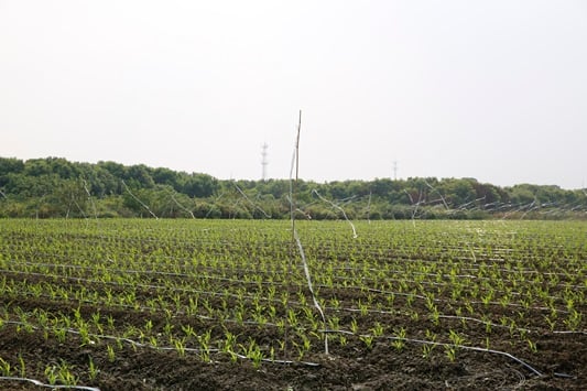 /사진제공=한국암웨이