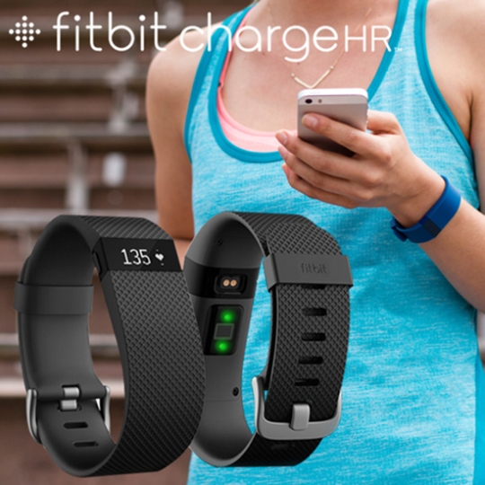 핏빗 스마트밴드/사진=핏빗