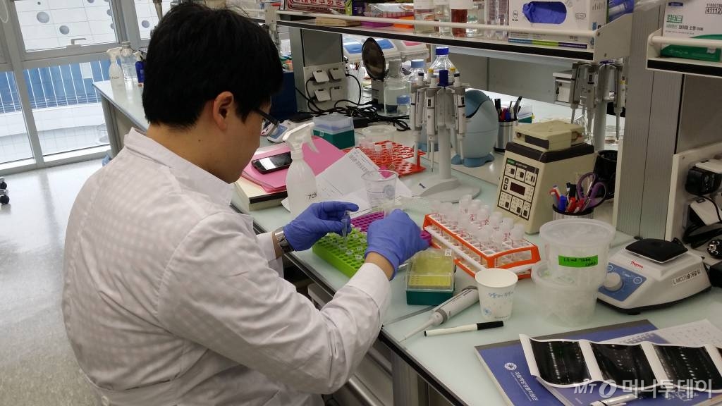 국립해양생물자원관 LMO(Living Modified Organisms·유전자를 변형한 생물체) 연구실에서 한 연구원이 DNA 분리 작업을 하고 있다/사진= 김민우 기자