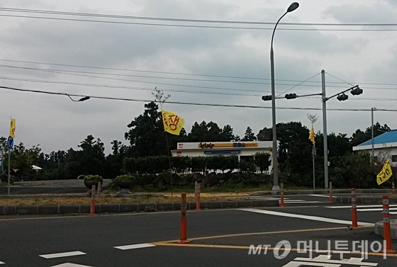 제주 서귀포시 성산읍 수산리에 '제주 제2공항 건립 반대' 문구가 적힌 깃발이 설치돼 있다. /사진=신현우 기자