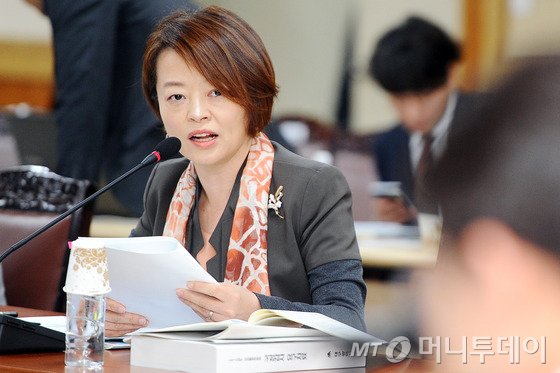 21일 오전 대구시청 회의실에서 열린 국회 안전행정위 국정감사에 새정치민주연합 진선미 의원이 권영진 시장에게 일자리 실적에 관해 질의 하고 있다. 2015.9.21/뉴스1