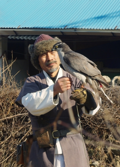 박용순 응사가 참매를 어루만지고 있다. /사진=김유진 기자 yoojin@