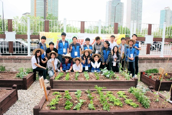 송파구 KT건물 옥상에 마련된 텃밭은 크라우딩펀드를 받아 이뤄졌다.