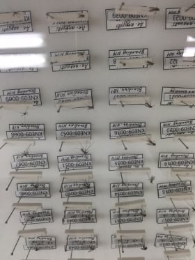 질병관리본부 감염병 매개체 표본실에 전시된 흰줄숲모기 표본