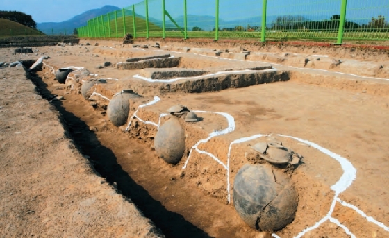 경북 경주 월성 발굴현장에서 발굴된 토기들. /사진제공=국립경주문화재연구소