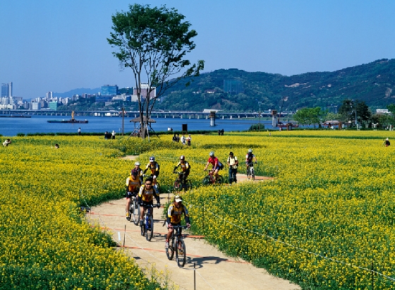 한강변을 따라 강남과 강북에 조성된 자전거길인 '한강 자전거길'. 110km에 걸쳐 조성돼 있지만 길이 평탄해 초·중급자 모두 쉽게 즐길 수 있다. /사진제공=한국관광공사