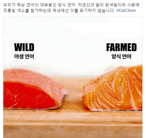 SNS에서 공유가 많이 된 양식 연어와 자연산 연어의 색 비교 이미지. /사진=페이스북 화면 캡처