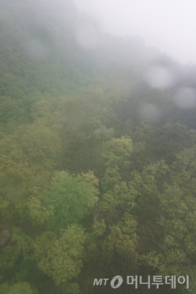 안개가 서린 케이블카 창문을 통해 바라본 타이산 중턱. /사진=김지훈 기자