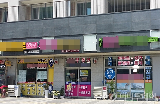 세종시 한솔동 첫마을2단지 퍼스트프라임아파트 1층에 공인중개업소가 몰려있다. /사진=신현우 기자
