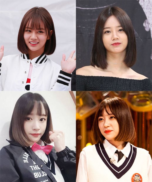 /사진= 머니투데이 DB, 하니 인스타그램, SBS '토요일이 좋다-백종원의 3대 천왕' 홈페이지