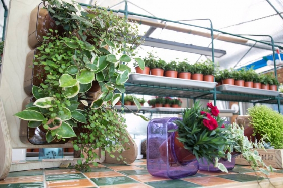 나눔포트를 쌓아 올리면(사진 왼쪽) 벽면녹화나 인테리어 효과를 볼 수 있다.