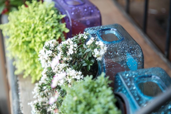 나눔포트에 담겨진 10cm 화분들. 식물이 시들었을 때 교체하기도 쉽다.