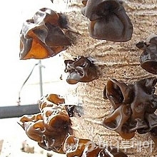 /사진제공=뉴시스