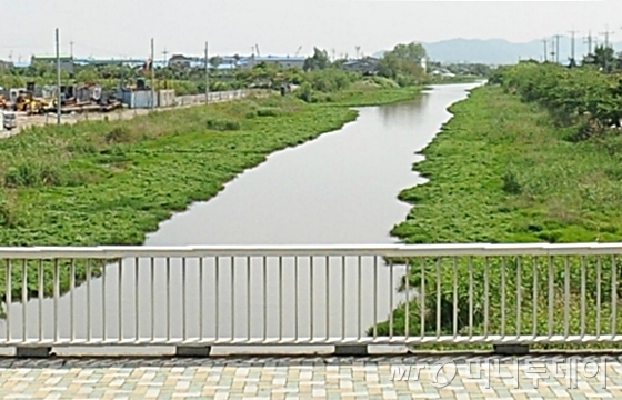 김해공항 새 활주로가 통과하는 평강천. /사진=네이버지도캡처