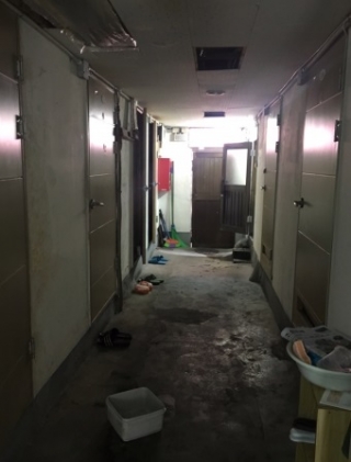 6일 오전 서울 용산구 동자동 쪽방촌의 한 건물. 천장에서 새는 빗물 탓에 복도에는 플라스틱 그릇이 놓여있다/사진=김주현 기자