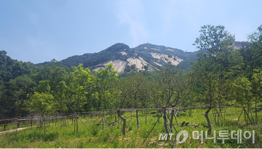 불암산 전경./제공=서울시