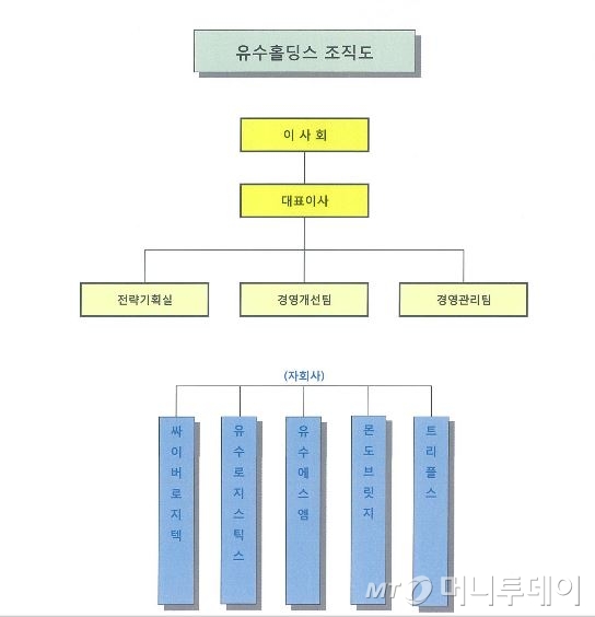 자료 출처: 유수홀딩스 사업보고서.