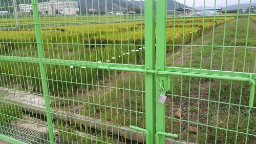 GMO 추방 공동대책위원회 관계자들이 7일 서울 세종로 정부서울청사 후문에서 열린 기자회견에서 세계 최대의 GMO(유전자변형작물) 생산 기업인 몬산토사의 추방을 촉구하고 있다.이들은 한국 정부가 단 한번의 실험도 없이 식용 GMO를 세계에서 가장 많이 수입하고있으며, 한국이 수입하는대부분의 GMO는 세계에서 가장 악랄하다는 평을 받는 몬산토의 제품이라고 주장했다. 2016.6.7/뉴스1  <저작권자 © 뉴스1코리아, 무단전재 및 재배포 금지>