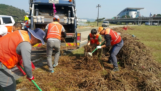 6일 오전 경북 경주시 중부동 서천둔치에서 공무원들이 태풍피해복구를 위해 구슬땀을 흘리고 있다.2016.10.06.(사진=경주시 제공)<br />