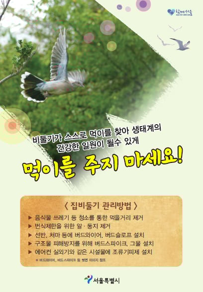 비둘기 먹이제공을 금지하는 서울시 안내문. /자료=서울시 제공