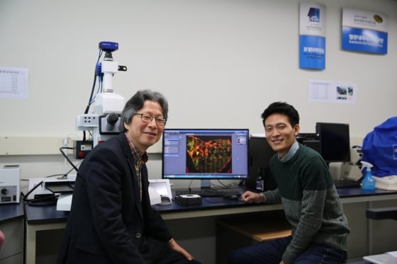 (왼쪽부터)고규영 단장, 박진성 연구원/사진=IBS