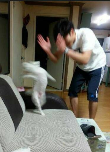저승사자 짜란다! 짜란다! /사진=인터넷 커뮤니티