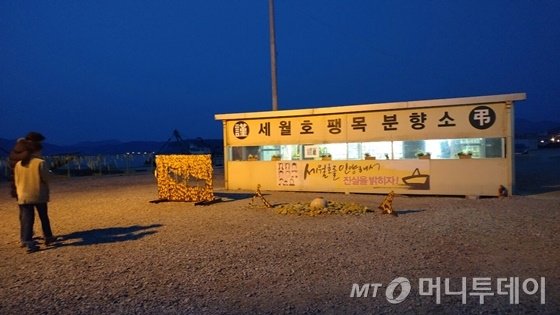 전남 진도 팽목항에 위치한 합동분향소. /사진=이동우 기자