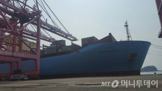 부산신항만 제3부두의 전경/사진=황시영 기자