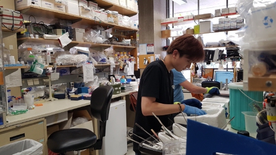 연구원 2명이 연구작업을 벌이고 있다.