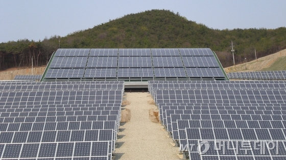 영흥화력발전소 부지내 태양광 발전설비 전경./사진제공=한국남동발전