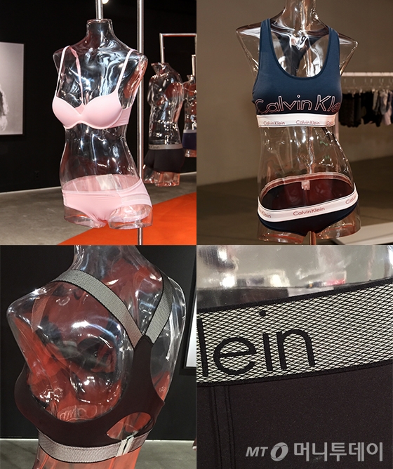 /사진=캘빈클라인, 마아라 기자