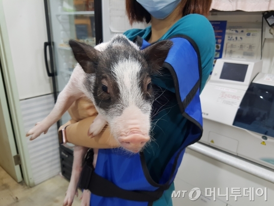 사진은 기사와 직접 관련이 없습니다.