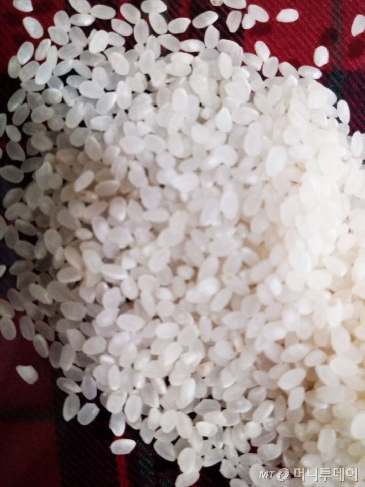 /사진=픽사베이